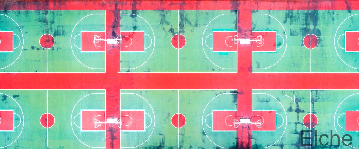 Las 6 mejores canchas de baloncesto en Elche