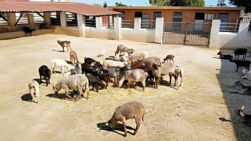 Granja Escuela La Loma