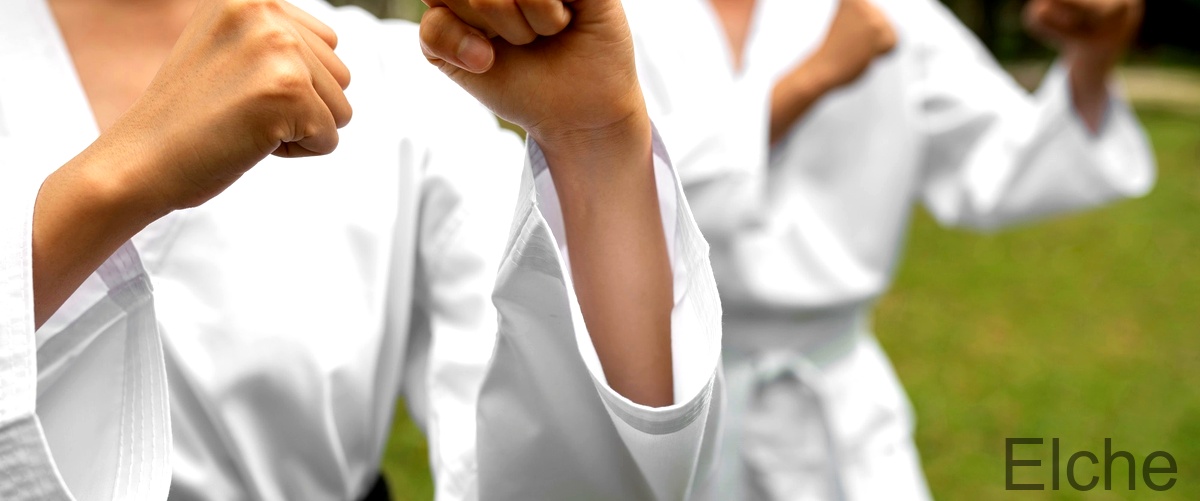 Las 6 mejores academias de Taekwondo en Elche