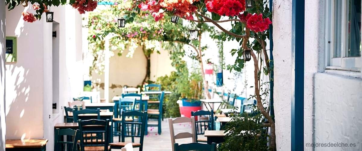 Los 7 mejores restaurantes mediterráneos de Elche